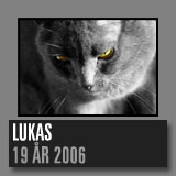 lukas